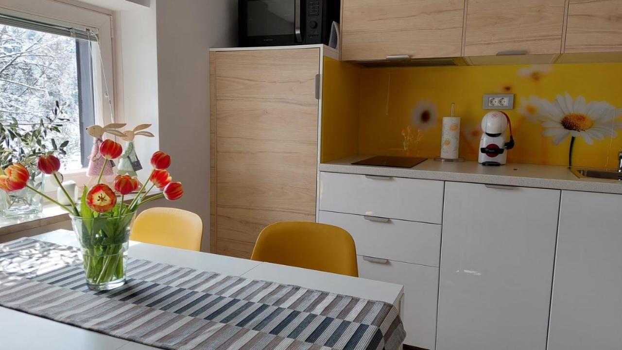 Apartma Marjetica غوزد مارتوليك المظهر الخارجي الصورة